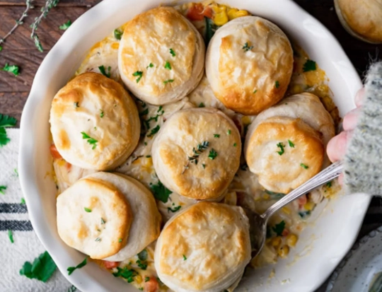slow cooker chicken pot pie recipe cream of chicken slow cooker chicken pot pie recipe cream of chicken