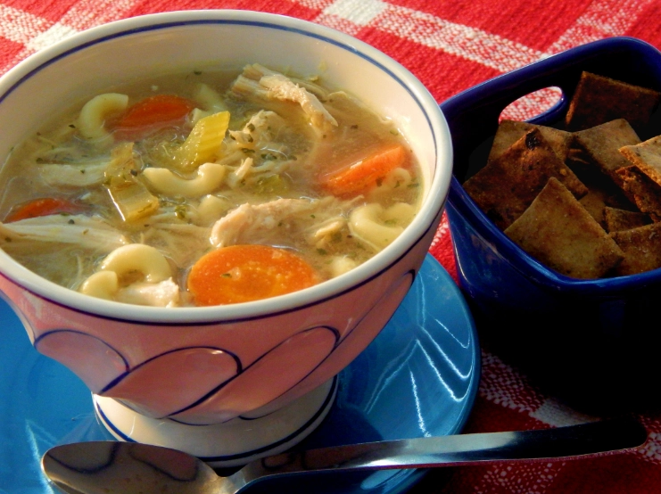 slow cooker chicken noodle soup