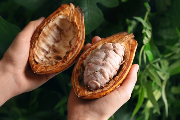 slow cooker hot chocolate slow cooker hot chocolate